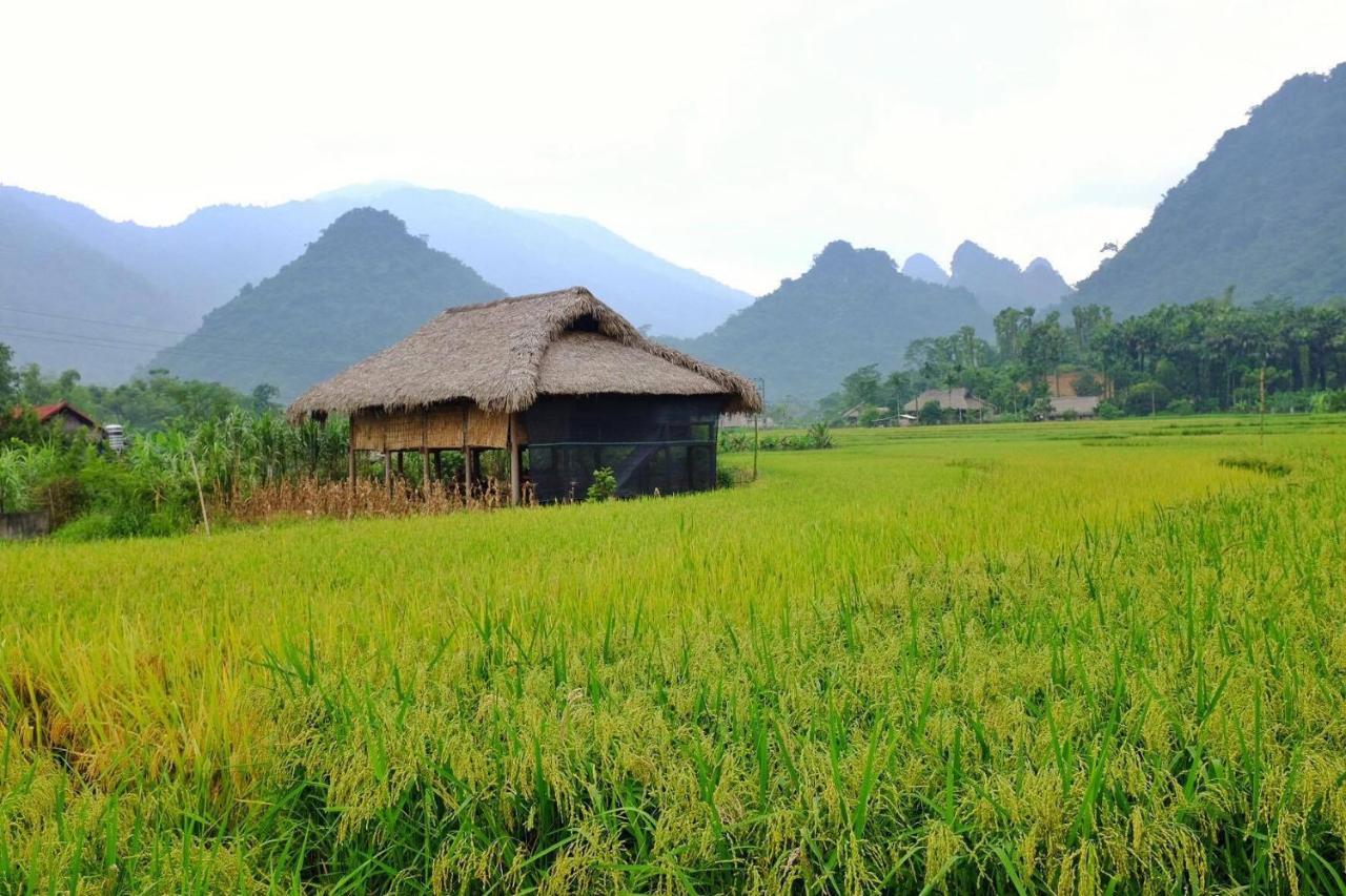 Xôi Farmstay - Eco Homestay Lục Yên Yên Bái Exterior foto