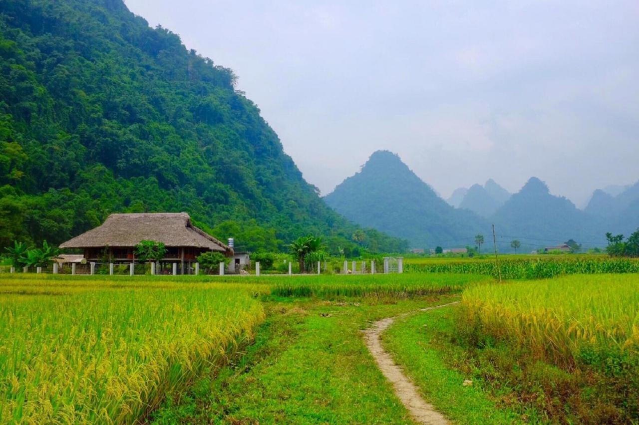 Xôi Farmstay - Eco Homestay Lục Yên Yên Bái Exterior foto