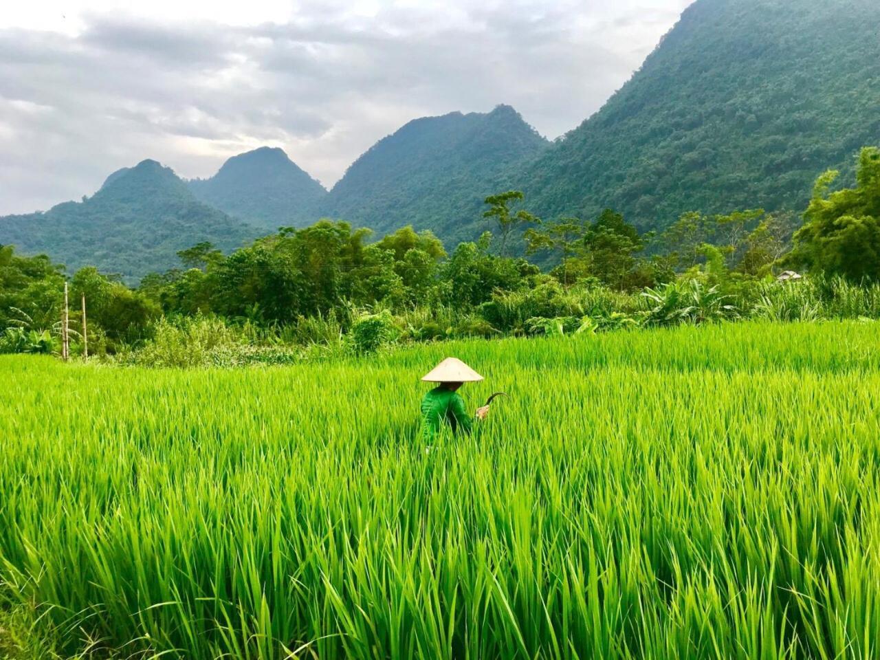 Xôi Farmstay - Eco Homestay Lục Yên Yên Bái Exterior foto